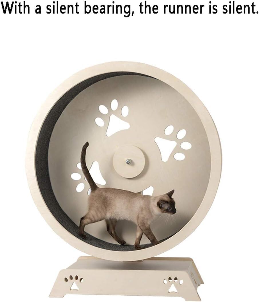 Cat Running Wheel Climbing Shelf