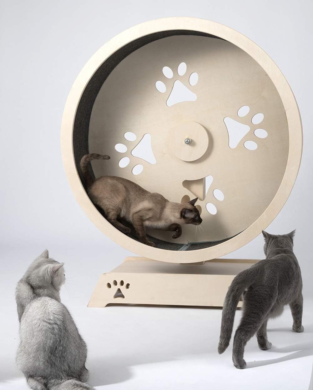 Cat Running Wheel Climbing Shelf