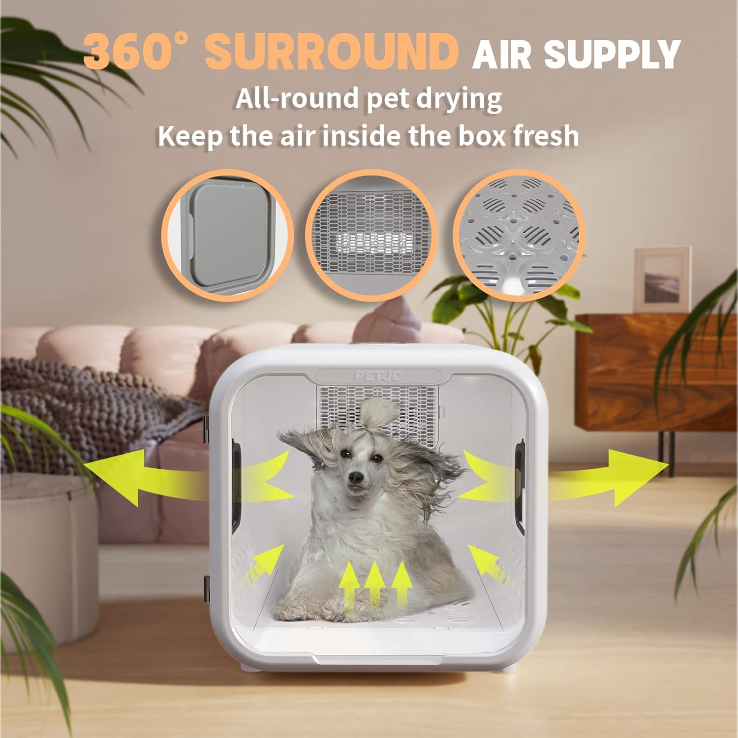Automatic Pet Dryer Box for Cats and Small Dogs